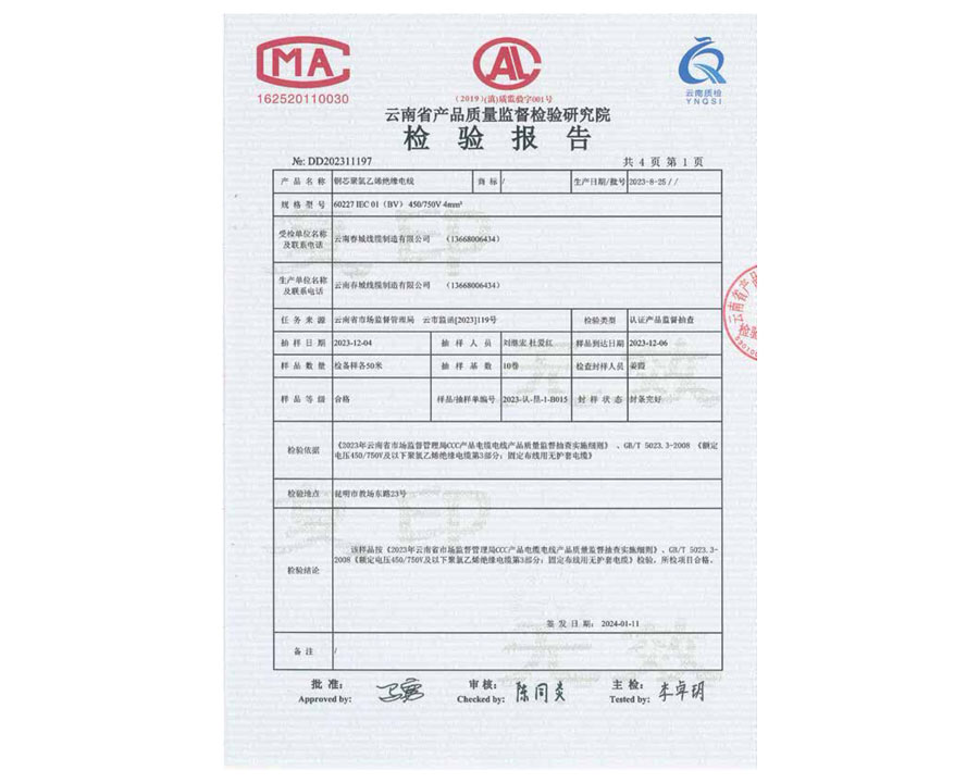 檢驗(yàn)報(bào)告